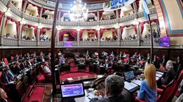 El Senado bonaerense le dio media sanción a la suspensión de las PASO provinciales