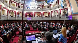 El Senado bonaerense le dio media sanción a la suspensión de las PASO provinciales