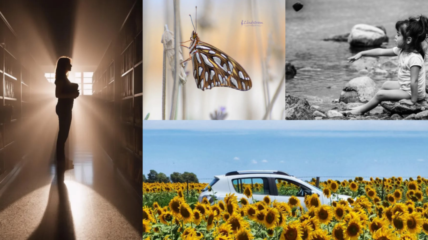 Las fotos de la semana en el Instagram de La Nueva.