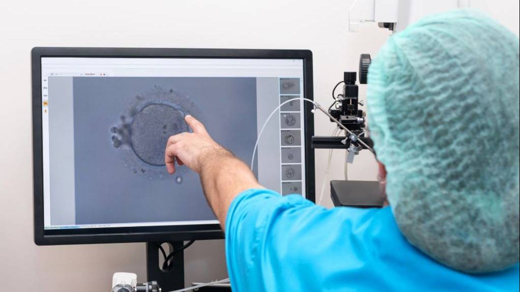 Entre la vida y la muerte: un fallo expone un vacío legal sobre la fecundación in vitro