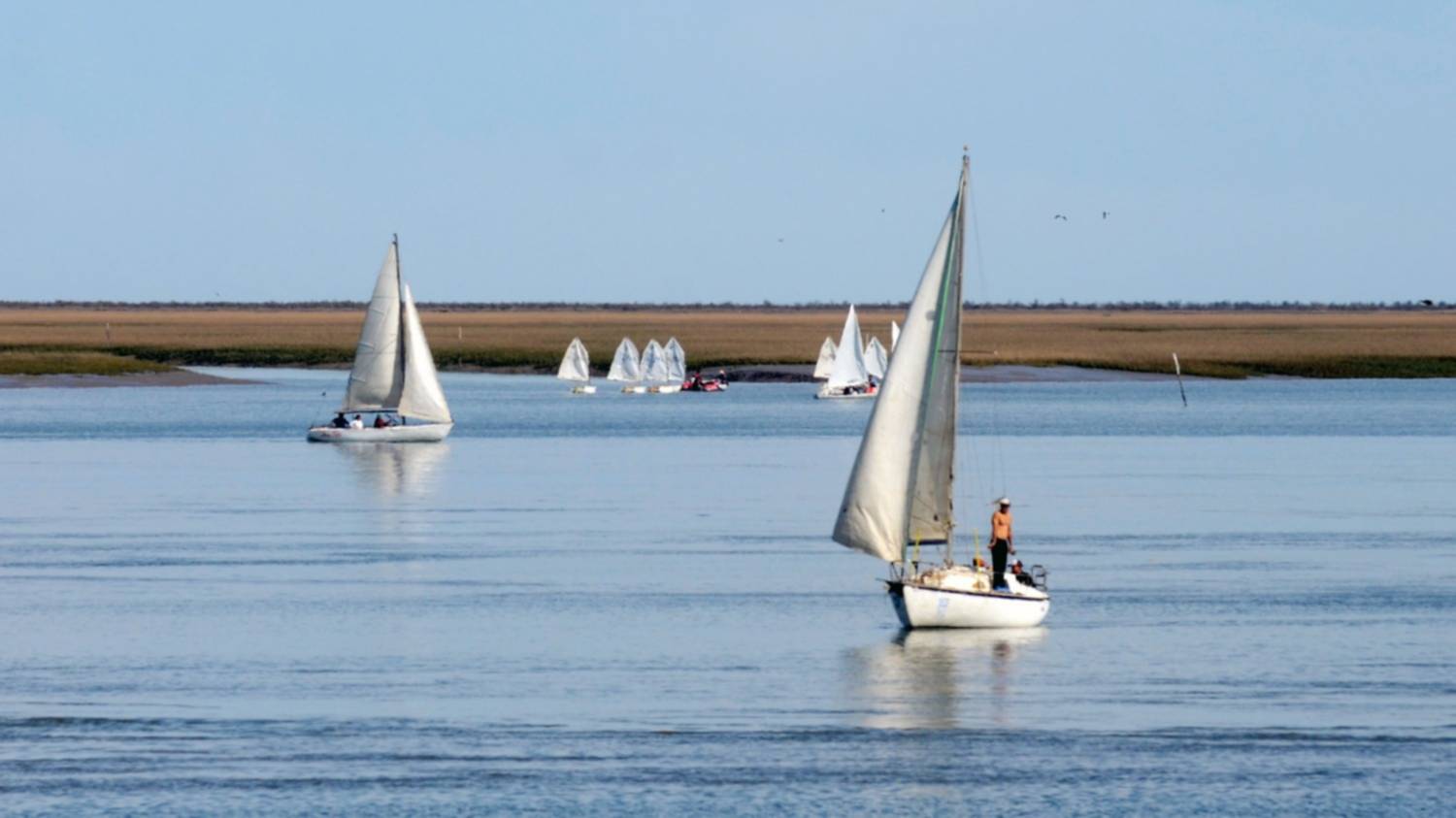 El puerto como aula: educación, ambiente e innovación en clave local