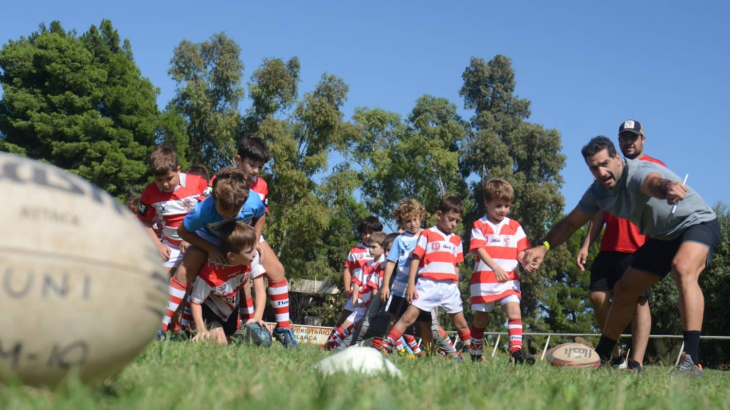 Universitario organizará mañana el 19º encuentro de infantiles "Oscar Virdis"