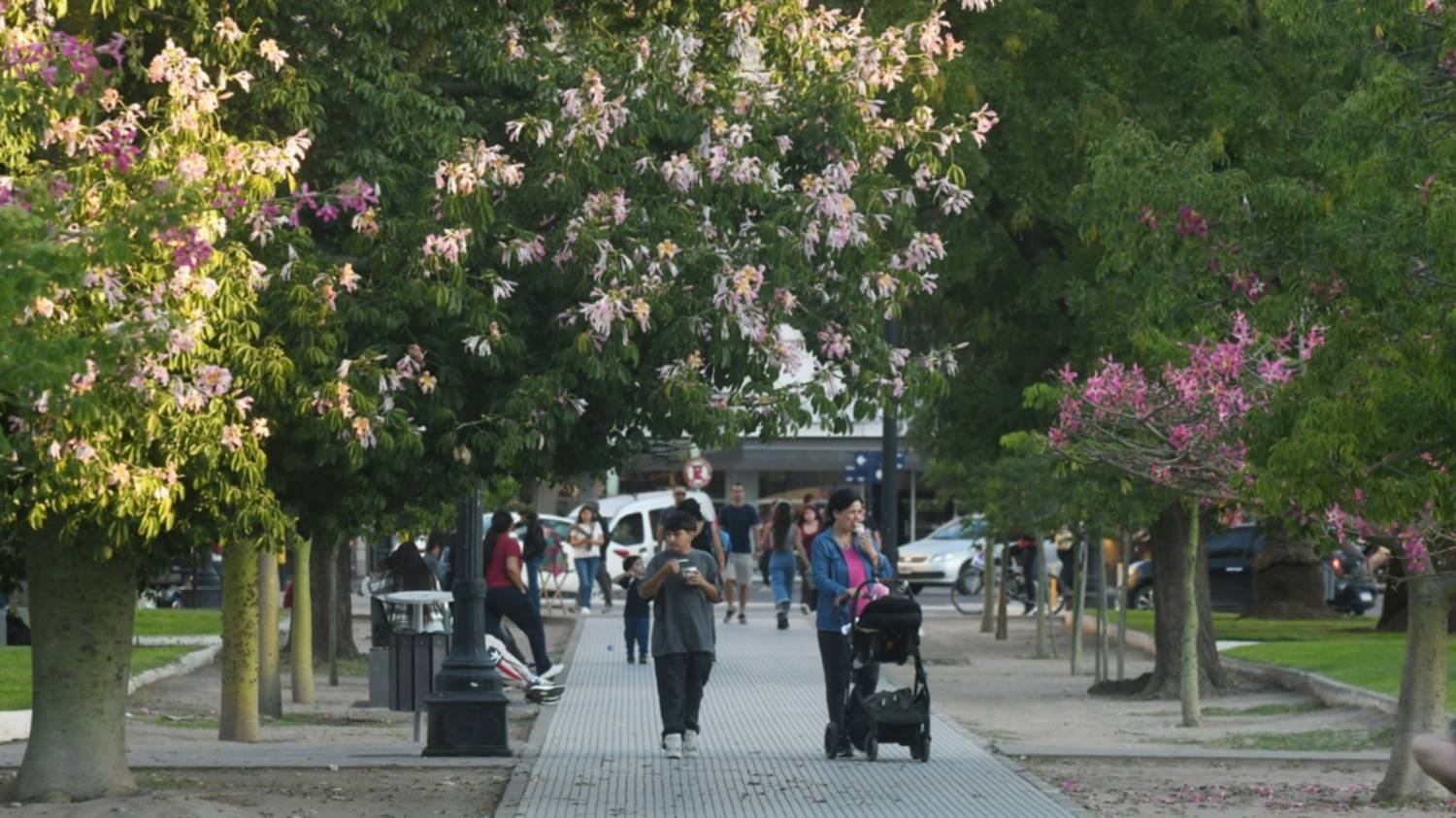 La ciudad se tiñe de rosa y blanco