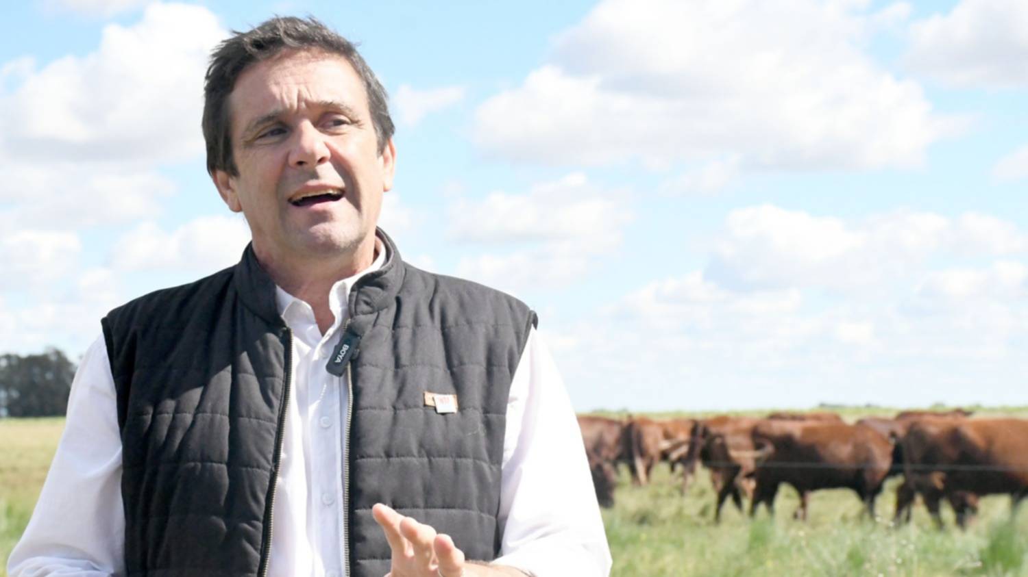 SOB: ¿cómo trabaja el INTA para aprovechar este momento de la ganadería?