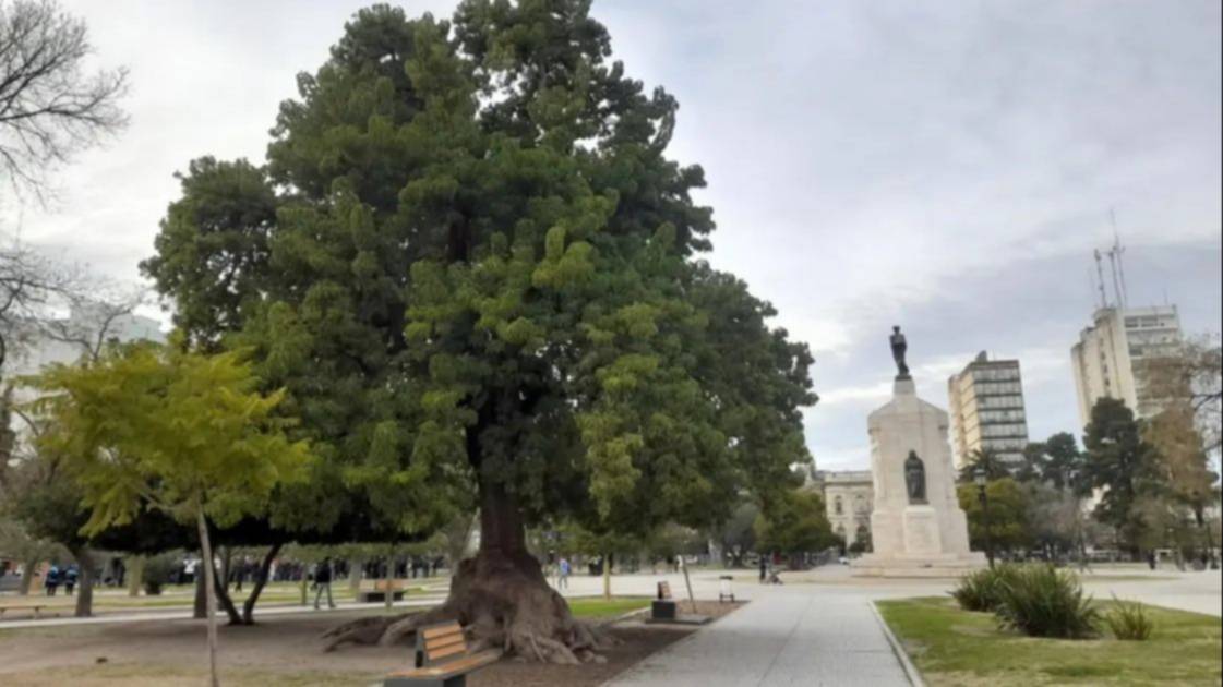 Detuvieron a una mujer acusada de vender drogas en la Plaza Rivadavia