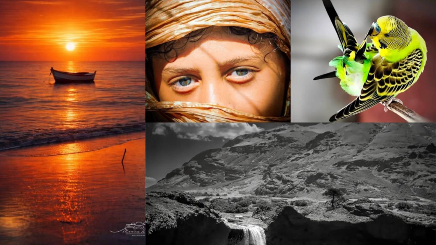 Las fotos de la semana en el Instagram de La Nueva.