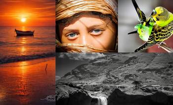 Las fotos de la semana en el Instagram de La Nueva.