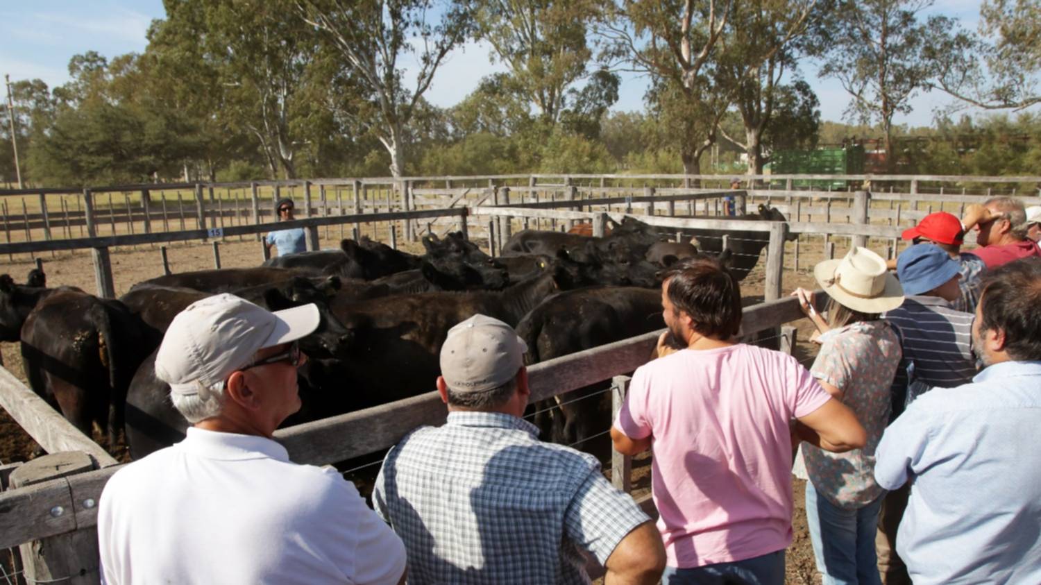 El sector agropecuario está cada vez más fuerte: ¿habrá derrame en la ciudad?