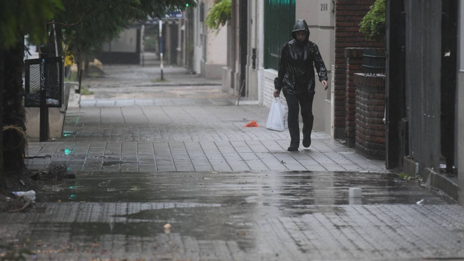 Para la tarde y noche del lunes: alerta amarilla por tormentas para Bahía Blanca y el sudoeste