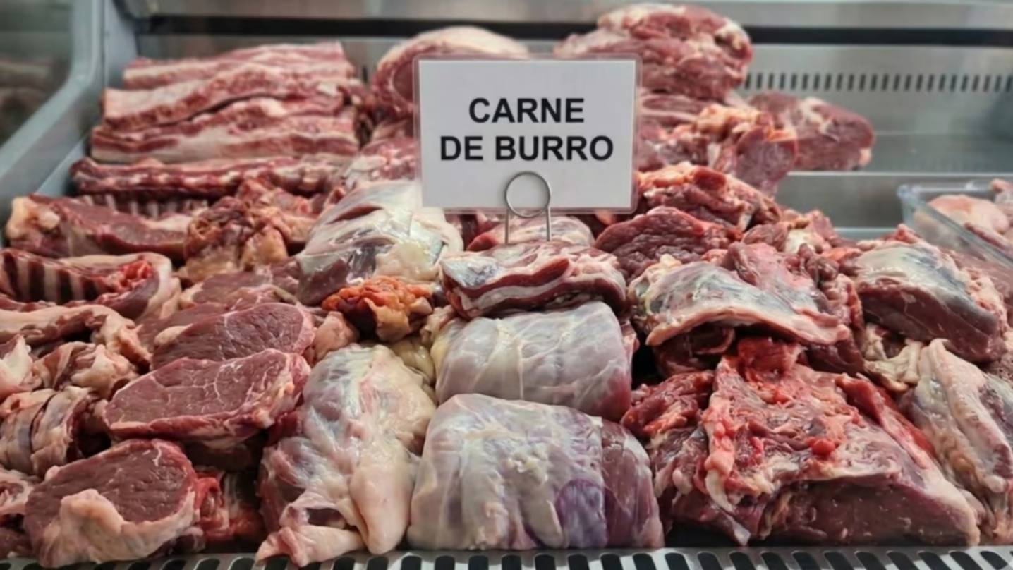 El Gobierno calificó como "operación mediática" la venta de carne de burro