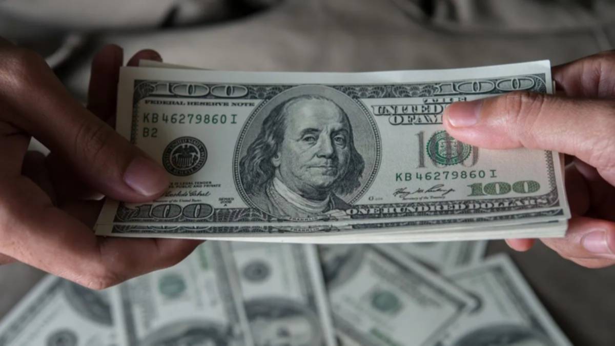 Dólar en Bahía Blanca: a cuánto cerraron este jueves todas las cotizaciones 