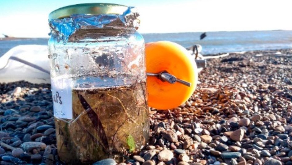 El impacto ambiental de los bastoncillos de oídos de plástico –  Ecodroguería Antaño