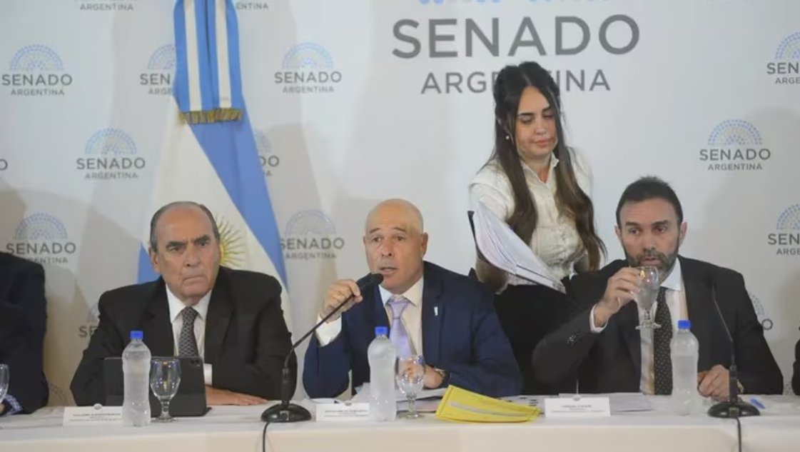 El Senado inició el tratamiento de la ley de Bases y el paquete fiscal: polémica por el RIGI El Senado inició el tratamiento de la ley de Bases y el paquete fiscal: polémica por el RIGI