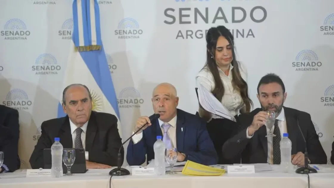 El Senado inició el tratamiento de la ley de Bases y el paquete fiscal: polémica por el RIGI El Senado inició el tratamiento de la ley de Bases y el paquete fiscal: polémica por el RIGI