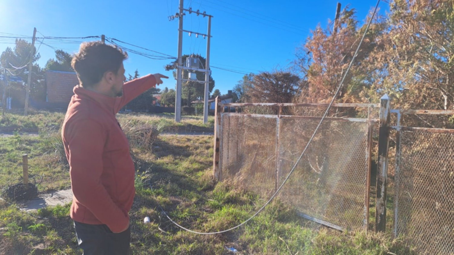 Apareció Un Perro Electrocutado En Parque Norte Y Alertan Por Los ...