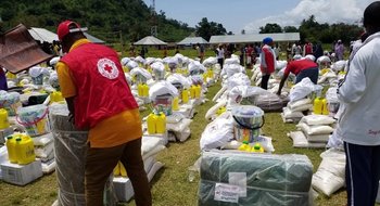 Qué hacer ante un tsunami, según los expertos de la Cruz Roja
