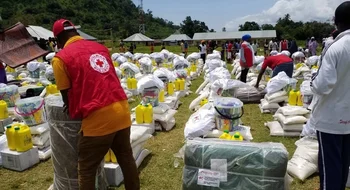 Qué hacer ante un tsunami, según los expertos de la Cruz Roja
