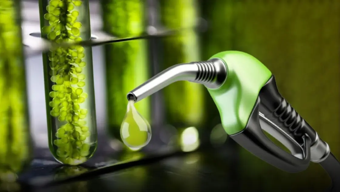 Autorizaron una suba en el precio de los biocombustibles: podría trasladarse a los surtidores