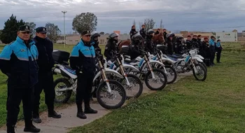 Mega operativo en Bahía: aprehendieron a siete personas y se secuestraron armas y marihuana