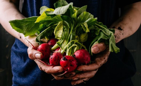 Suelo, salud y alimentos: ¿cuál es el plan de la obra en el país?