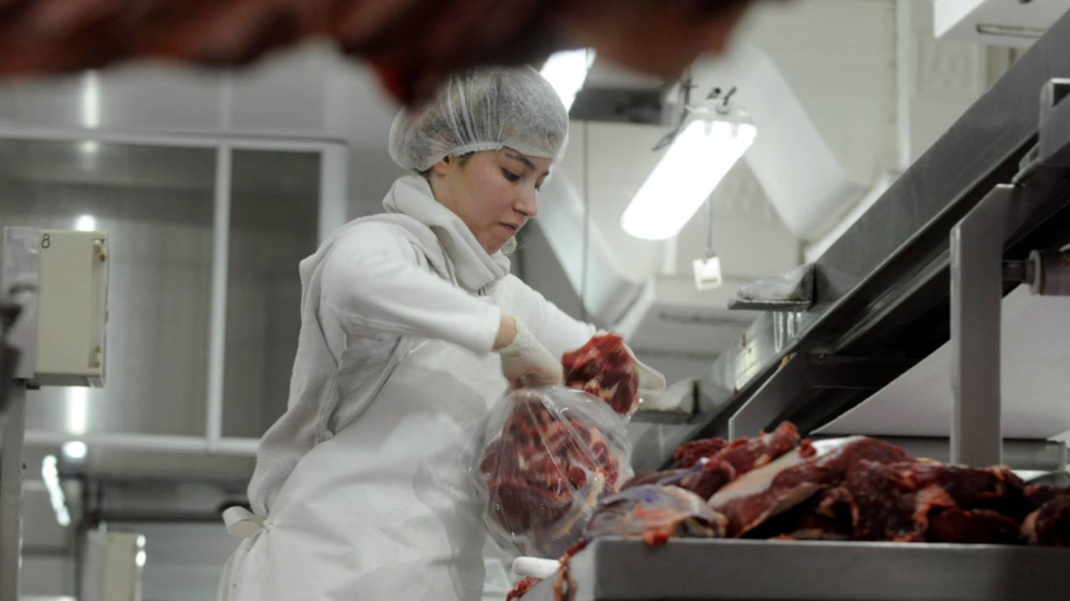Acuerdo Mercosur-UE empieza a aplicarse de manera provisoria: proyectan aumento del 80% en las exportaciones