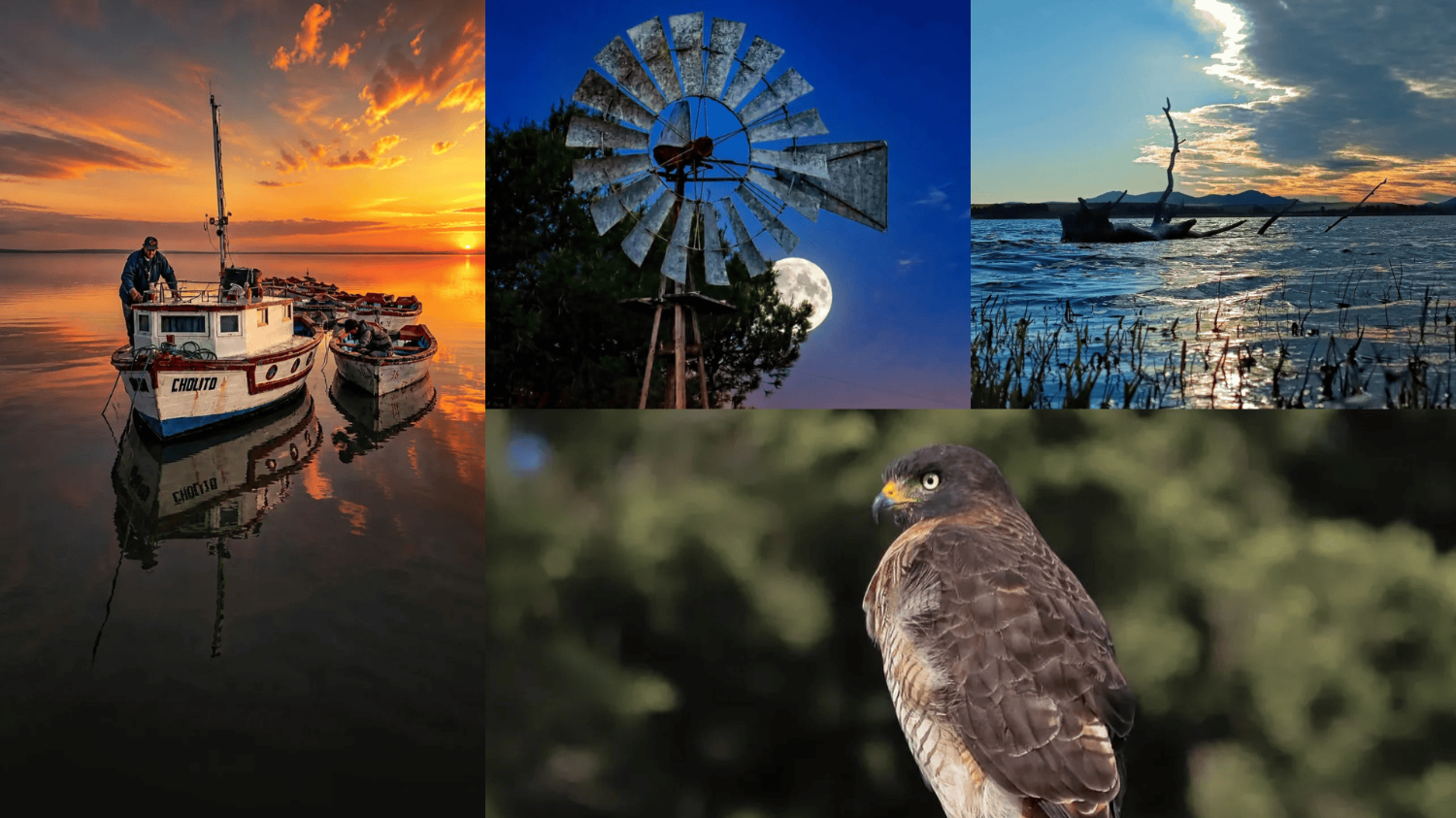 Las fotos de la semana en el Instagram de La Nueva.