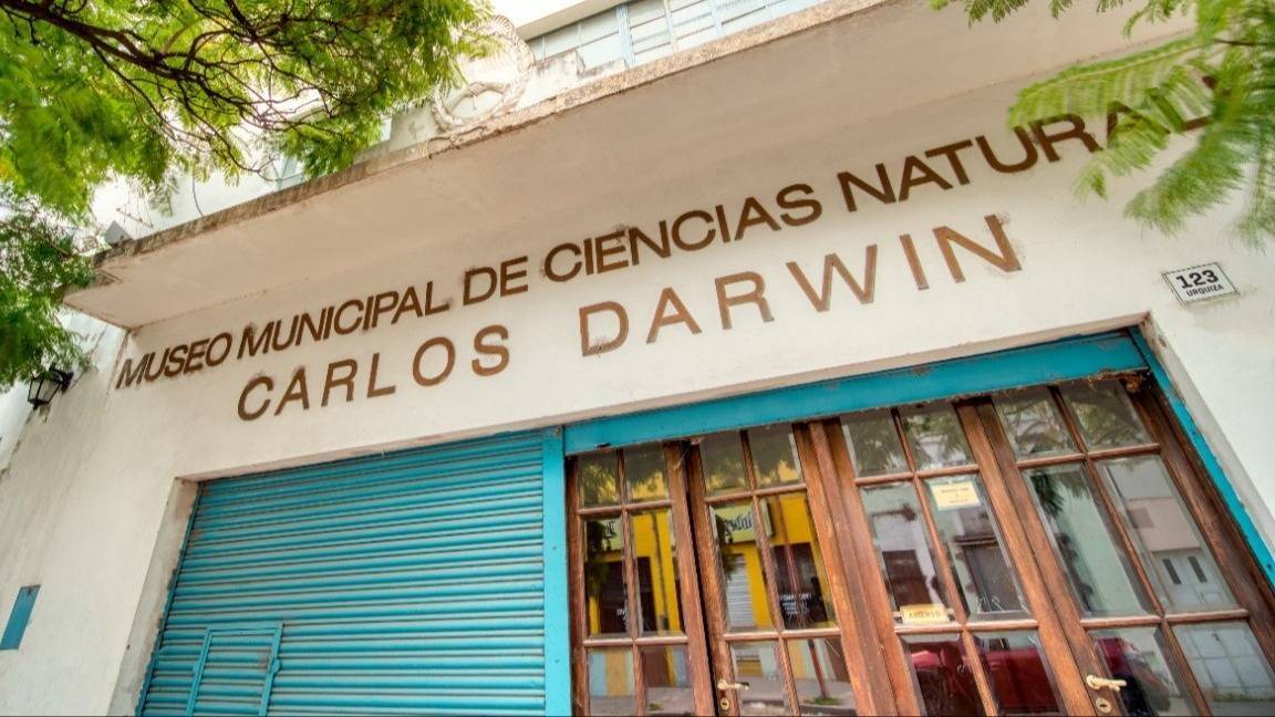 Se agranda la familia de megafauna en Coronel Rosales
