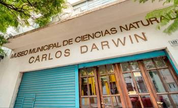 Se agranda la familia de megafauna en Coronel Rosales