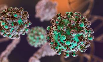 Hantavirus: el total de casos en Argentina asciende a 102