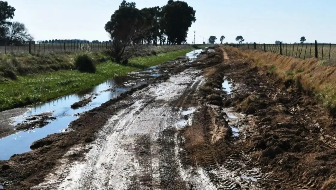 Tasas municipales altas y falta de mantenimiento: el campo judicializa el problema de los caminos rurales