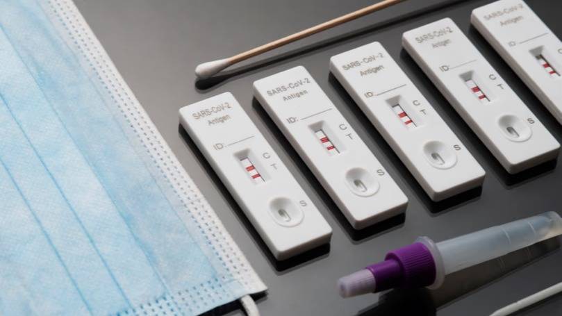 Hantavirus: cómo funciona la prueba RT-PCR para diagnosticar a los casos sospechosos de contagio