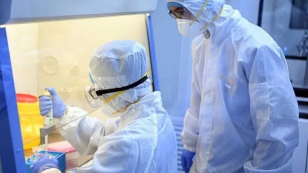 La OMS dice que el riesgo de la actual epidemia de ébola es “bajo” a nivel global