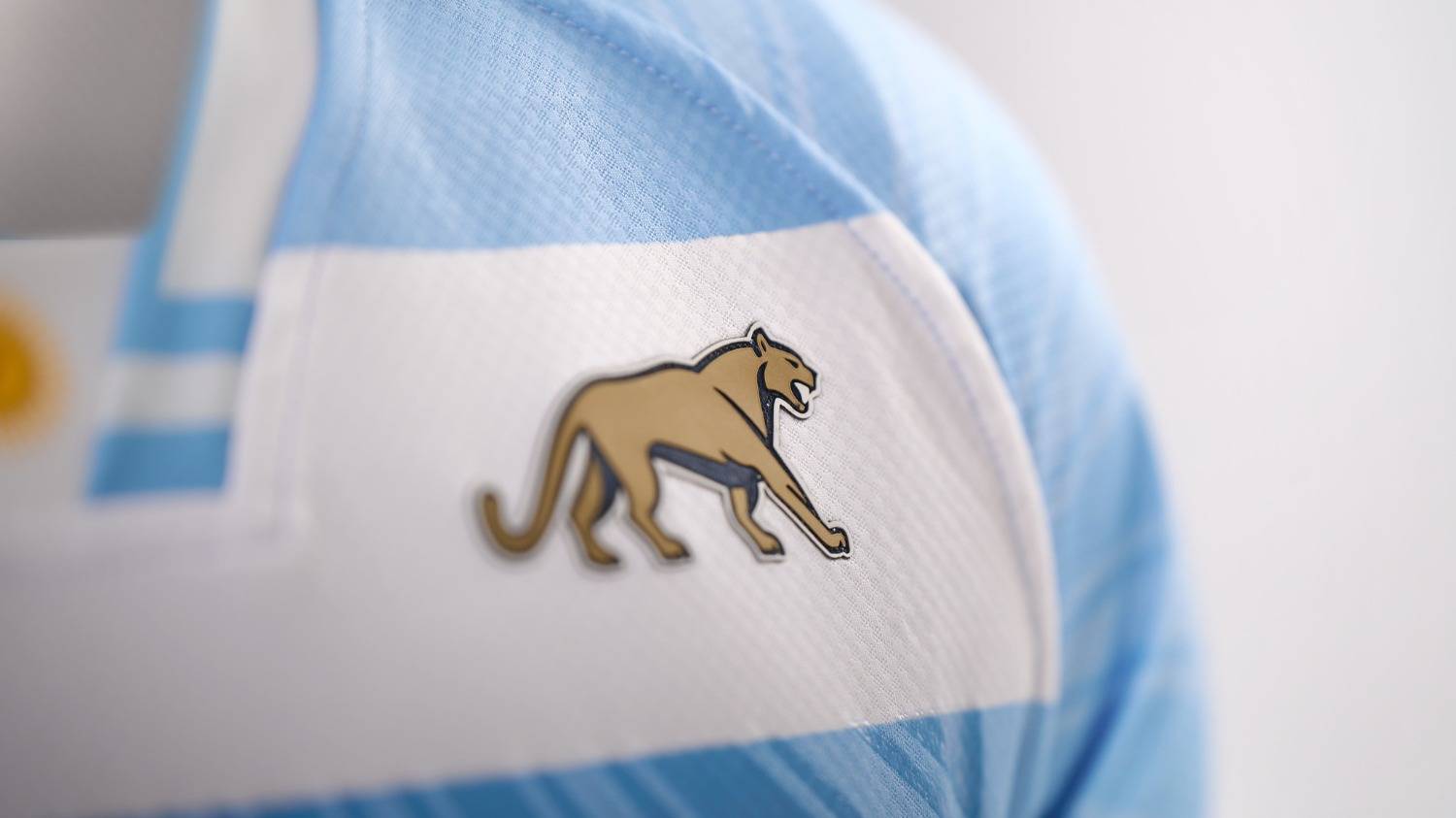 Nueva temporada y nueva piel para Los Pumas, de cara al año internacional