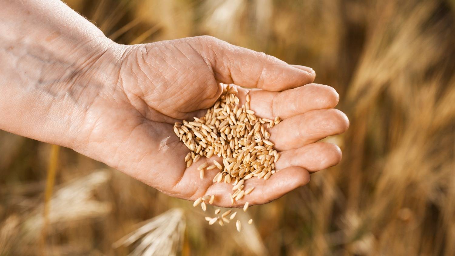 La fina que viene (con buen clima): otra vez la nutrición aparece como un aliado ideal