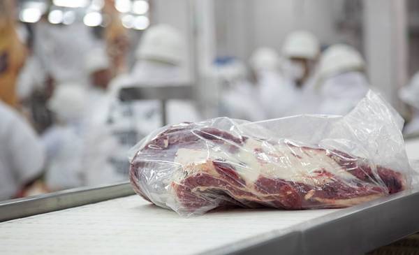 肉の輸出：価格回復は期待に拍車をかけます