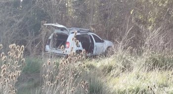 Horror en Tres Arroyos: mató a toda su familia y se tiró abajo de un camión
