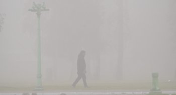 En fotos: así amaneció Bahía Blanca cubierta de niebla