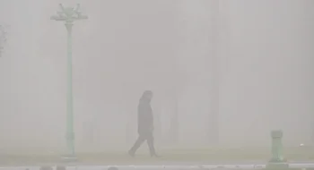 En fotos: así amaneció Bahía Blanca cubierta de niebla