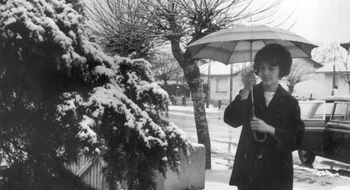 Los días más fríos de la historia: recuerdos de una Bahía "siberiana"