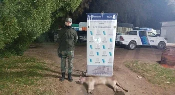 La Policía Rural aprehendió a dos hombres que cazaron un puma 