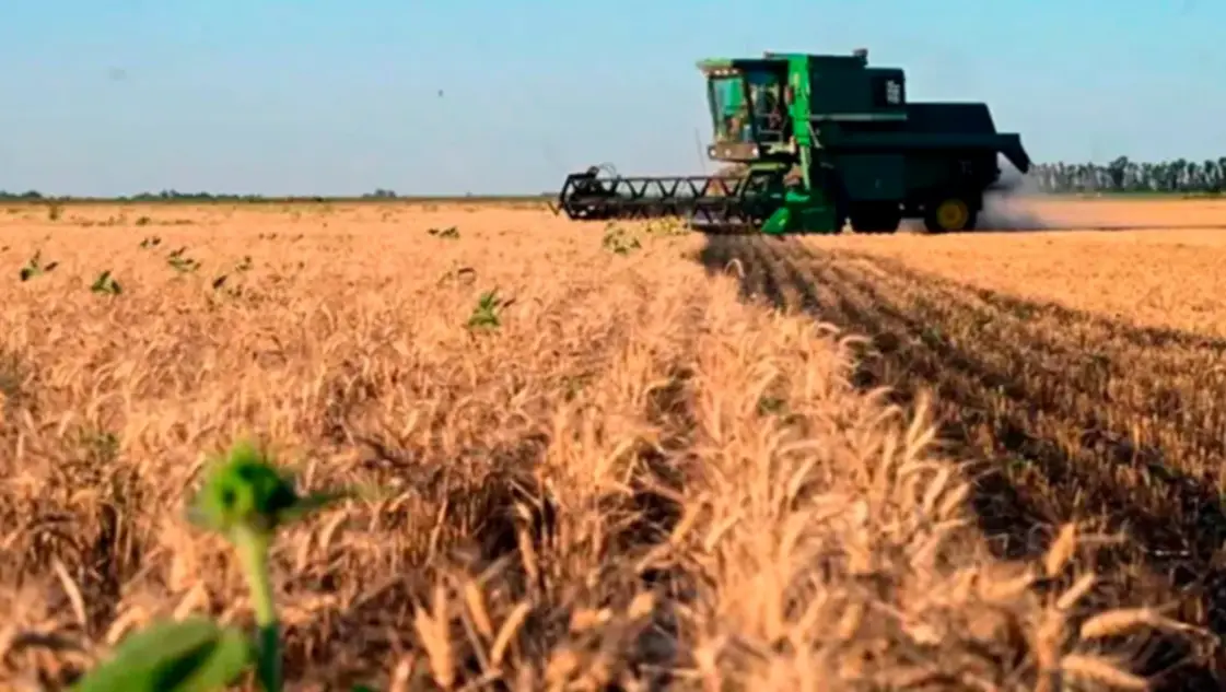 Decepción del campo con Milei: «Las retenciones son y serán un robo con cualquier gobierno»
