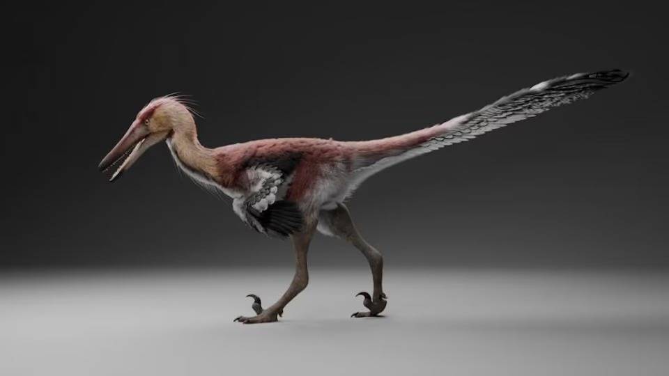 Histórico: hallan una nueva especie de dinosaurio raptor en Santa Cruz
