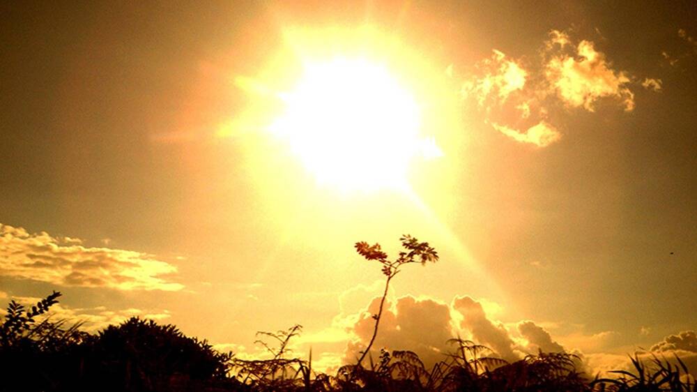 Un llamamiento mundial a la acción climática