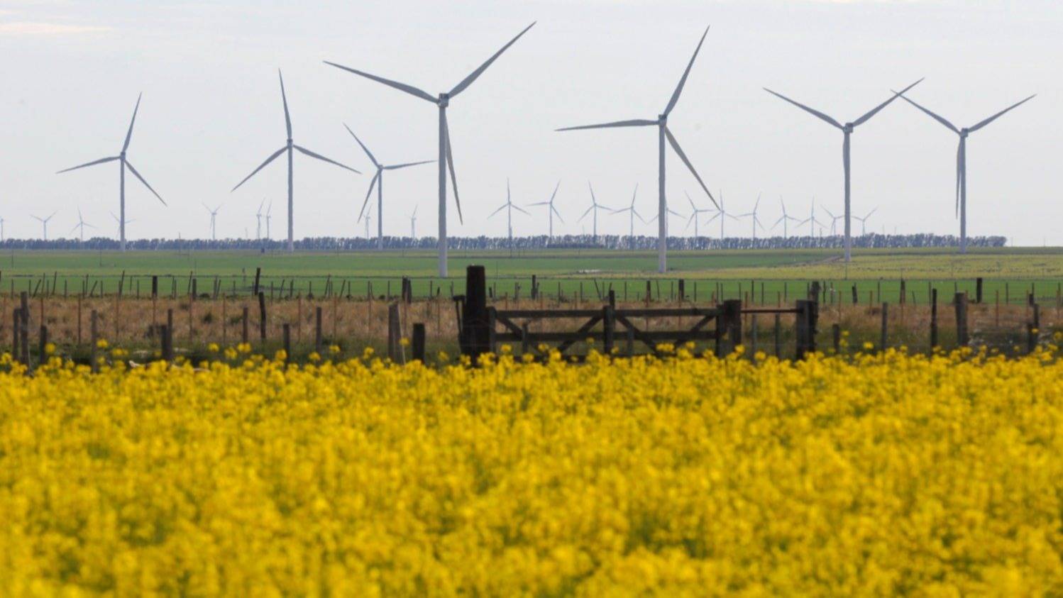 La energía renovable, la otra pata del nodo energético Bahía Blanca