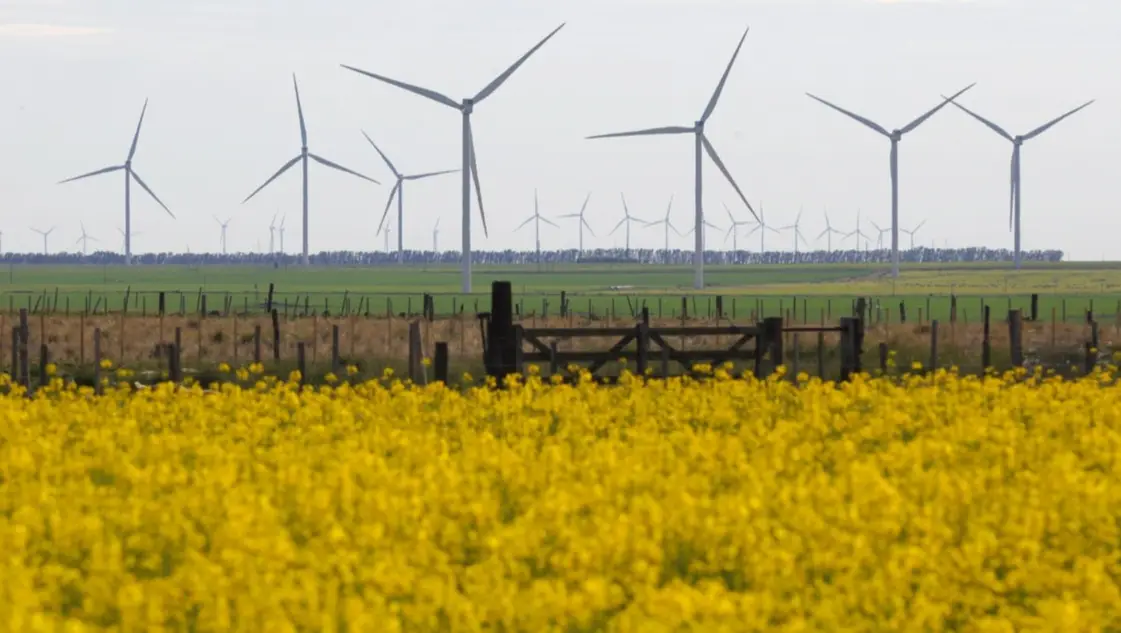 La energía renovable, la otra pata del nodo energético Bahía Blanca