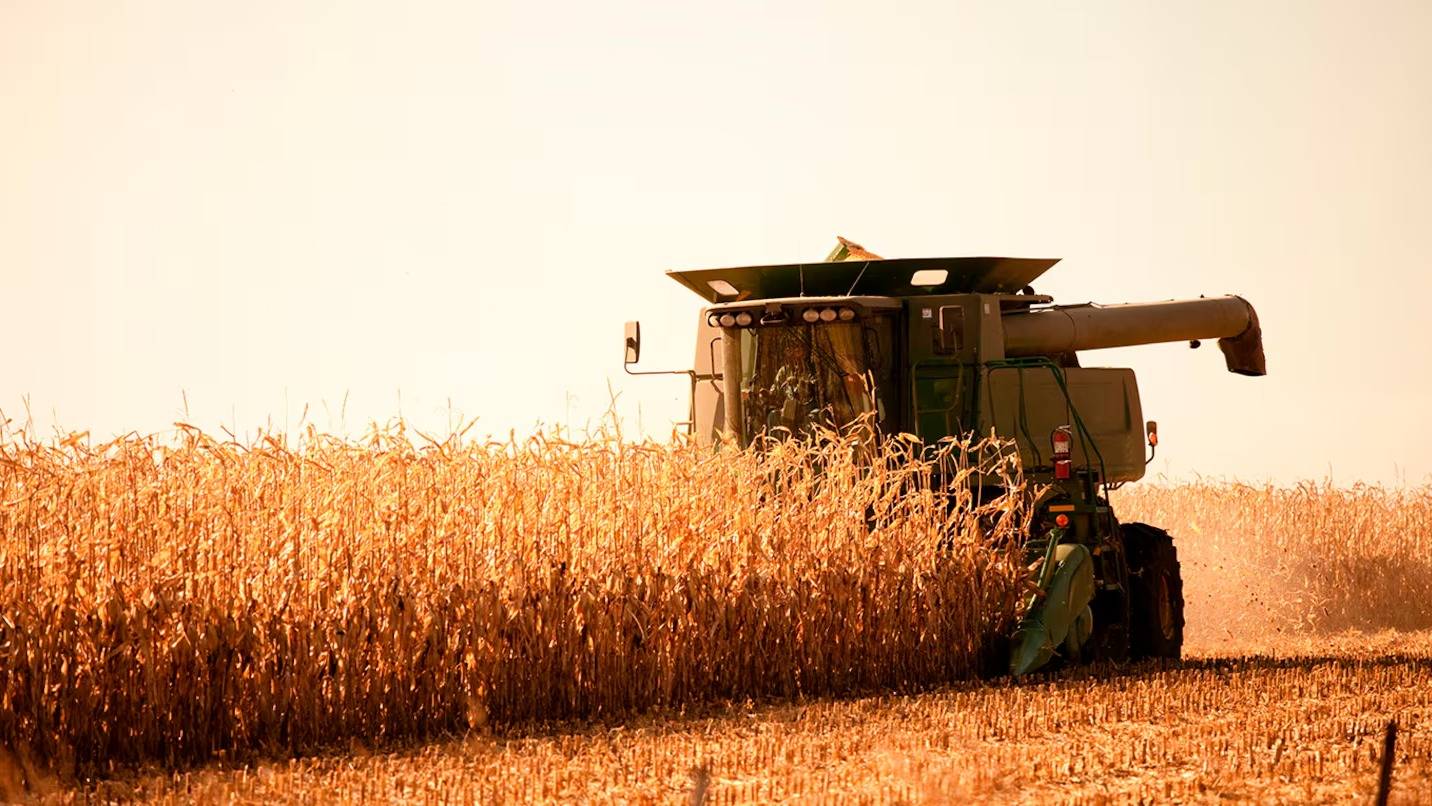 Oficializan la baja de las retenciones para el agro: cómo quedan y a qué granos alcanza