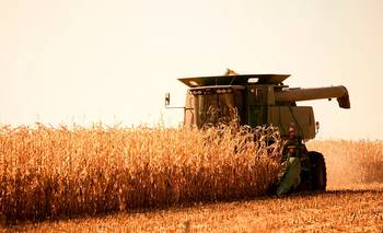 Oficializan la baja de las retenciones para el agro: cómo quedan y a qué granos alcanza
