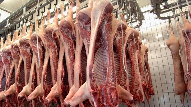 El cerdo gana terreno en la mesa argentina y busca convertirse en una alternativa diaria