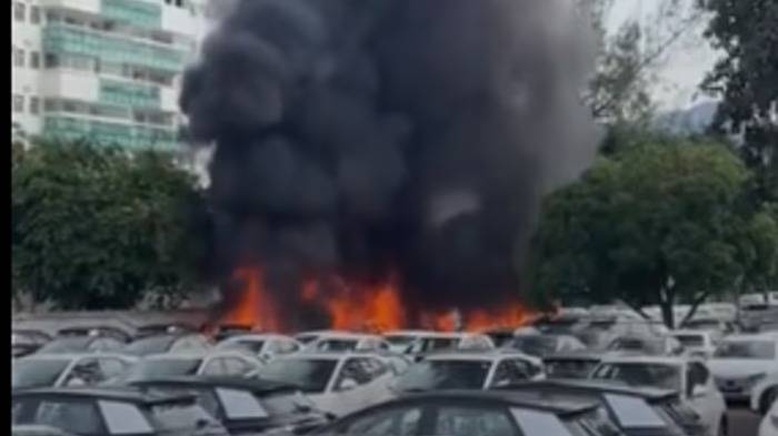 Qué se sabe del trágico accidente de helicóptero en el que murieron Gaspi, Vignale y otras cuatro personas