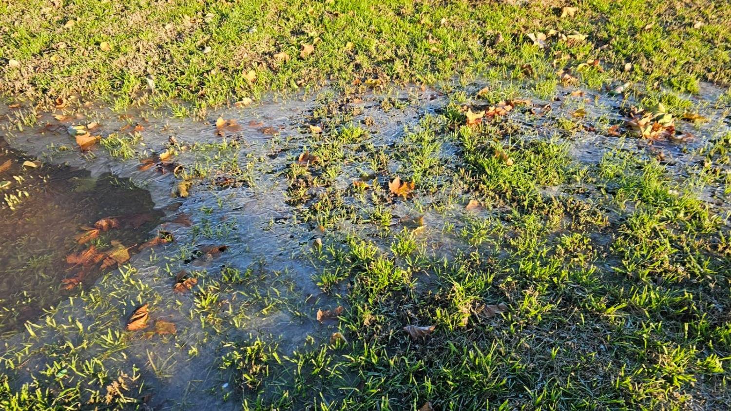 El Servicio Meteorológico emitió otra alerta amarilla por bajas temperaturas en Bahía y la región